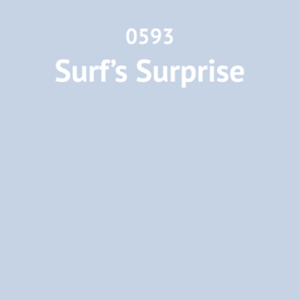 0593 Surfs Surprise