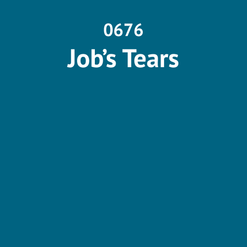 0676 Jobs Tears