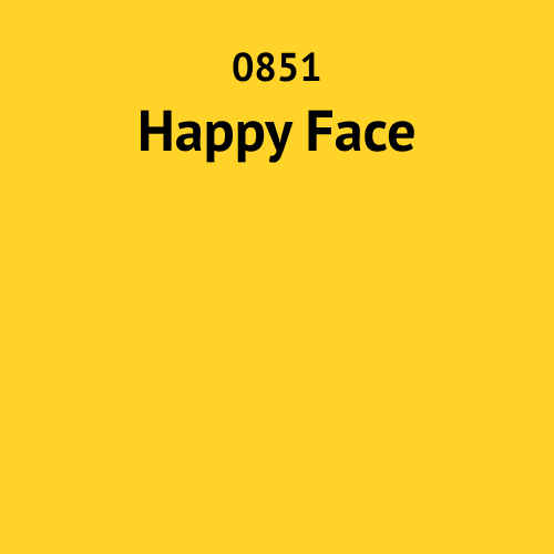0851 Happy Face