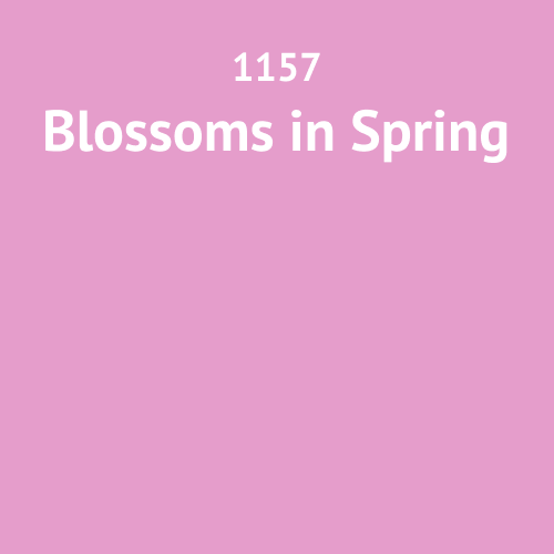 1157 Blossoms in Spring