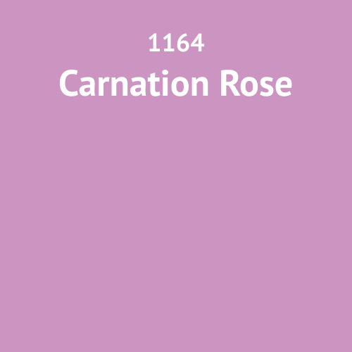 1164 Carnation Rose