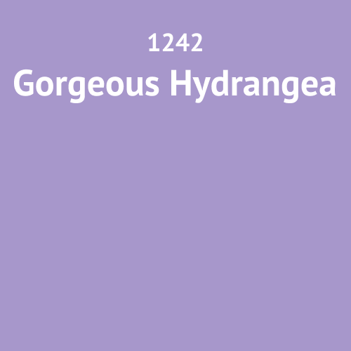 1242 Gorgeous Hydrangea