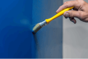 What is a Paint Finish?