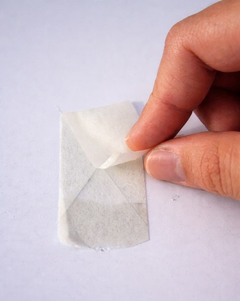 Figure 1b